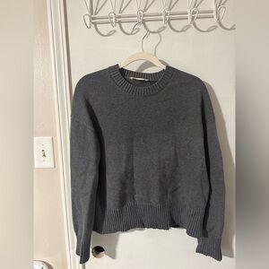 Everlane Charcoal Crew Neck Sweater